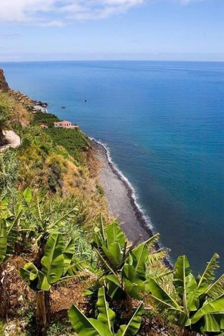 Chalet Tropical Arco da Calheta  Εξωτερικό φωτογραφία