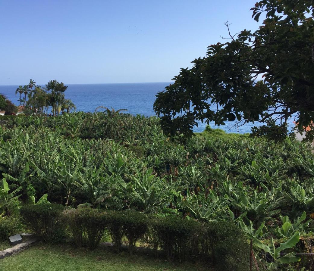 Chalet Tropical Arco da Calheta  Εξωτερικό φωτογραφία